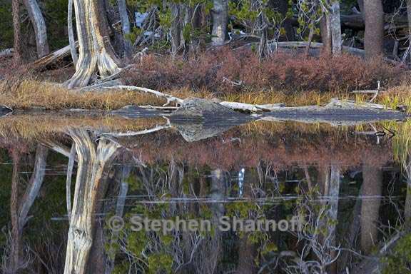 lakeshore reflections yosemite 8 graphic